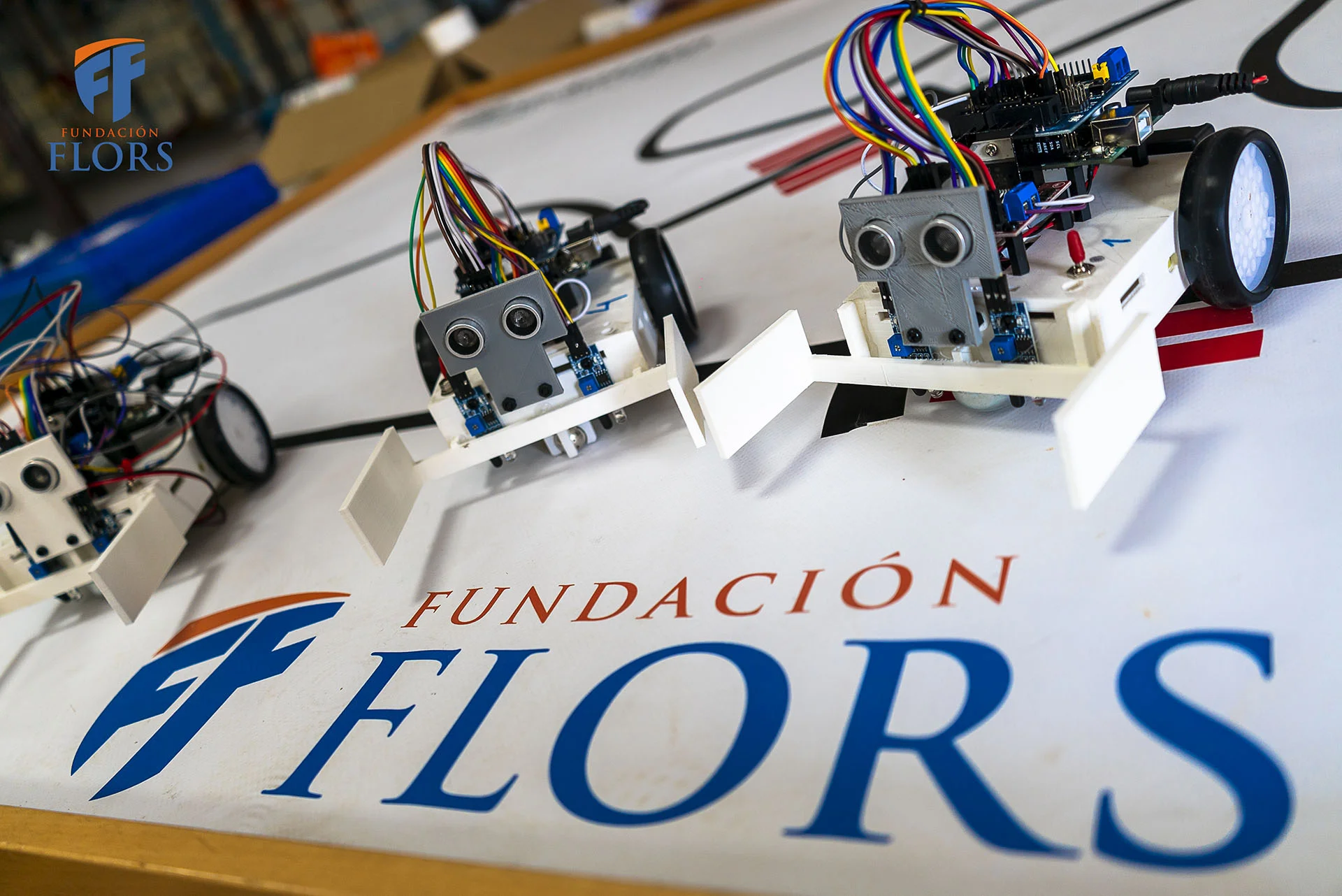 Flors_Resumen_Hackathon Erasmus 2023